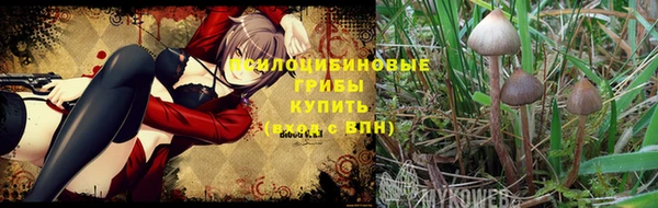 трава Горнозаводск